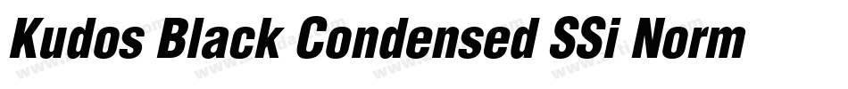 Kudos Black Condensed SSi Normal字体转换